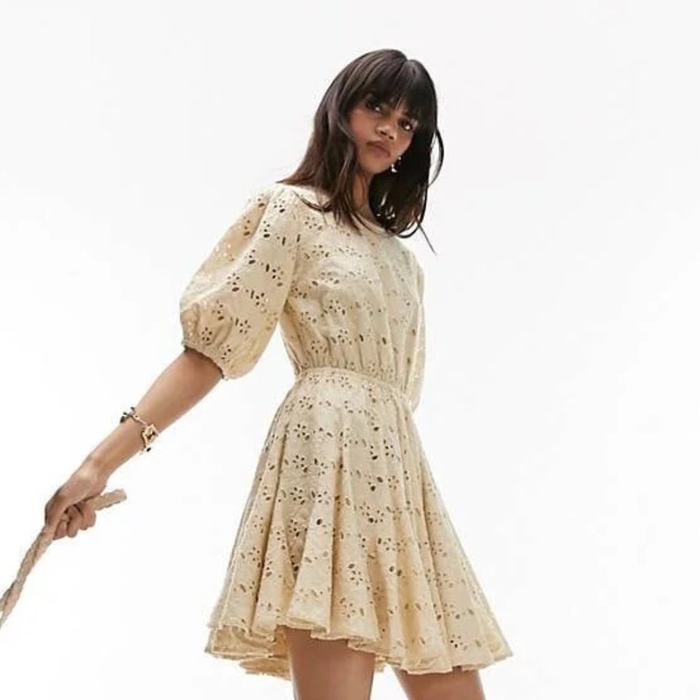 NWT Topshop Broderie Godet Mini Chuck on Dress in Ivory